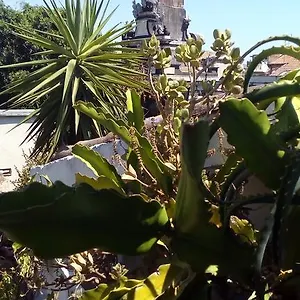 https://creative-apartment.taorminaitalyhotels.com